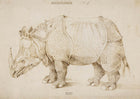 Rhinoceron (1515)