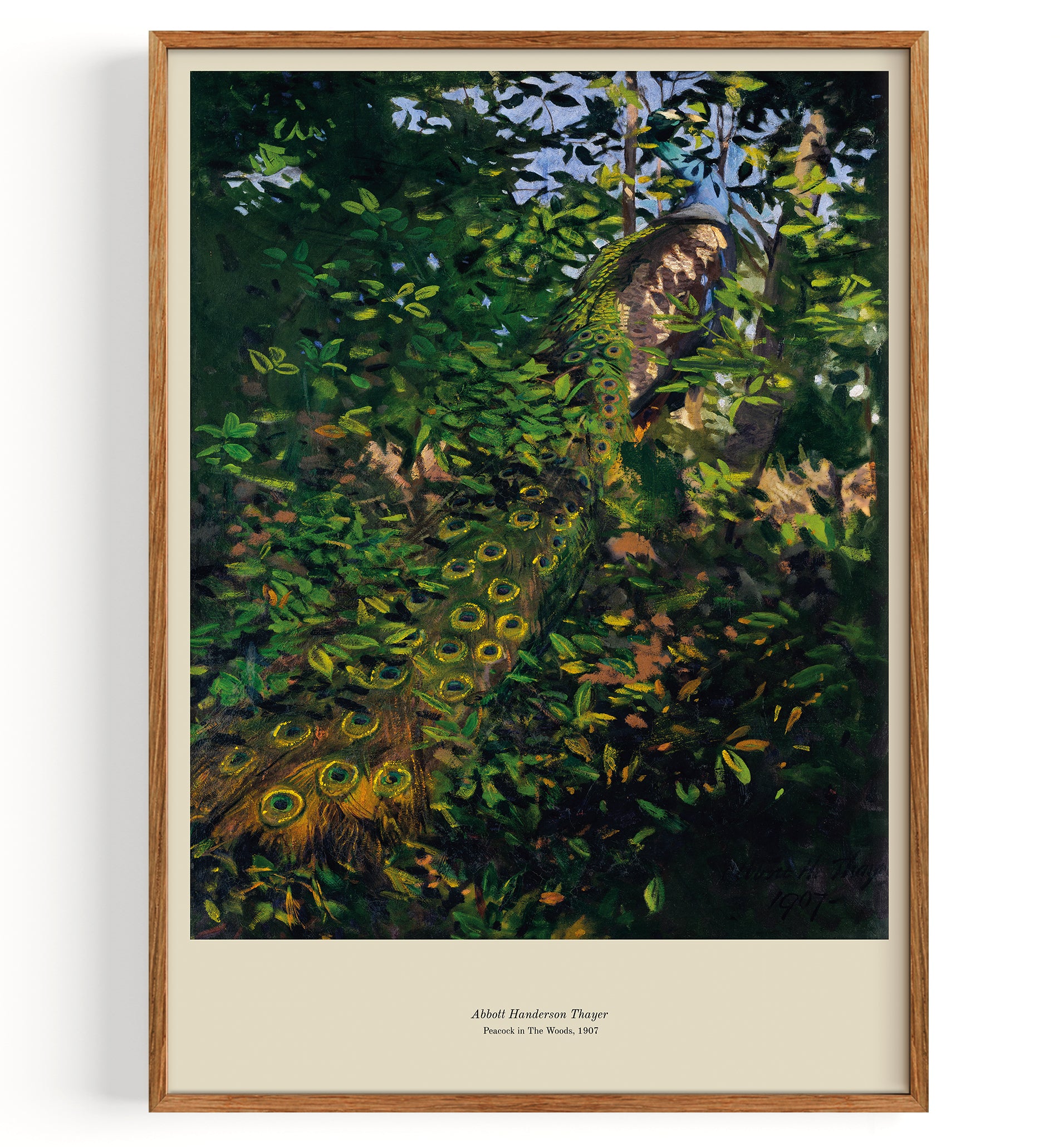 Pavone nel Bosco (1907)