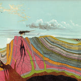 natural sciences