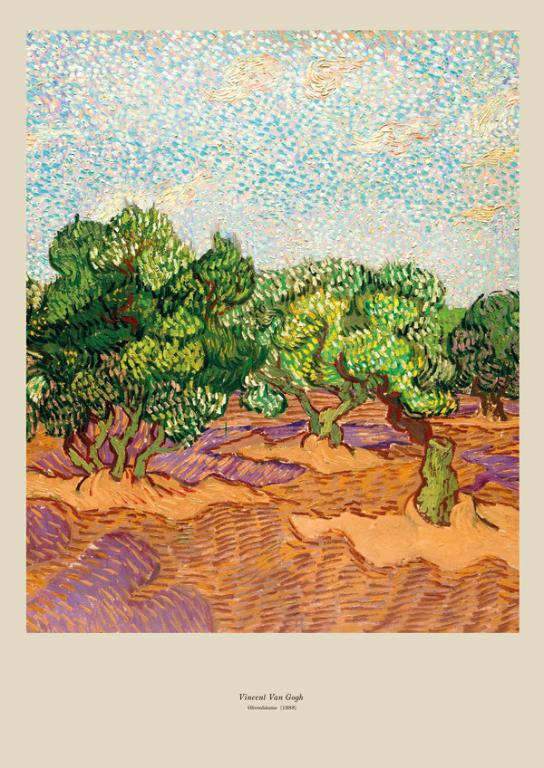 Olivi (1889)