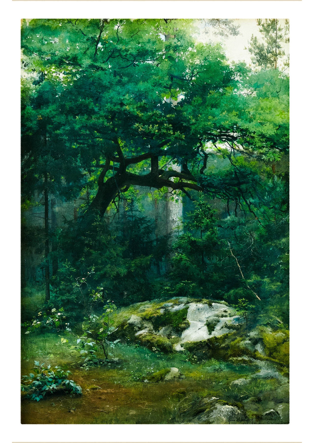 Lysningen i skyggen (1864-1935)