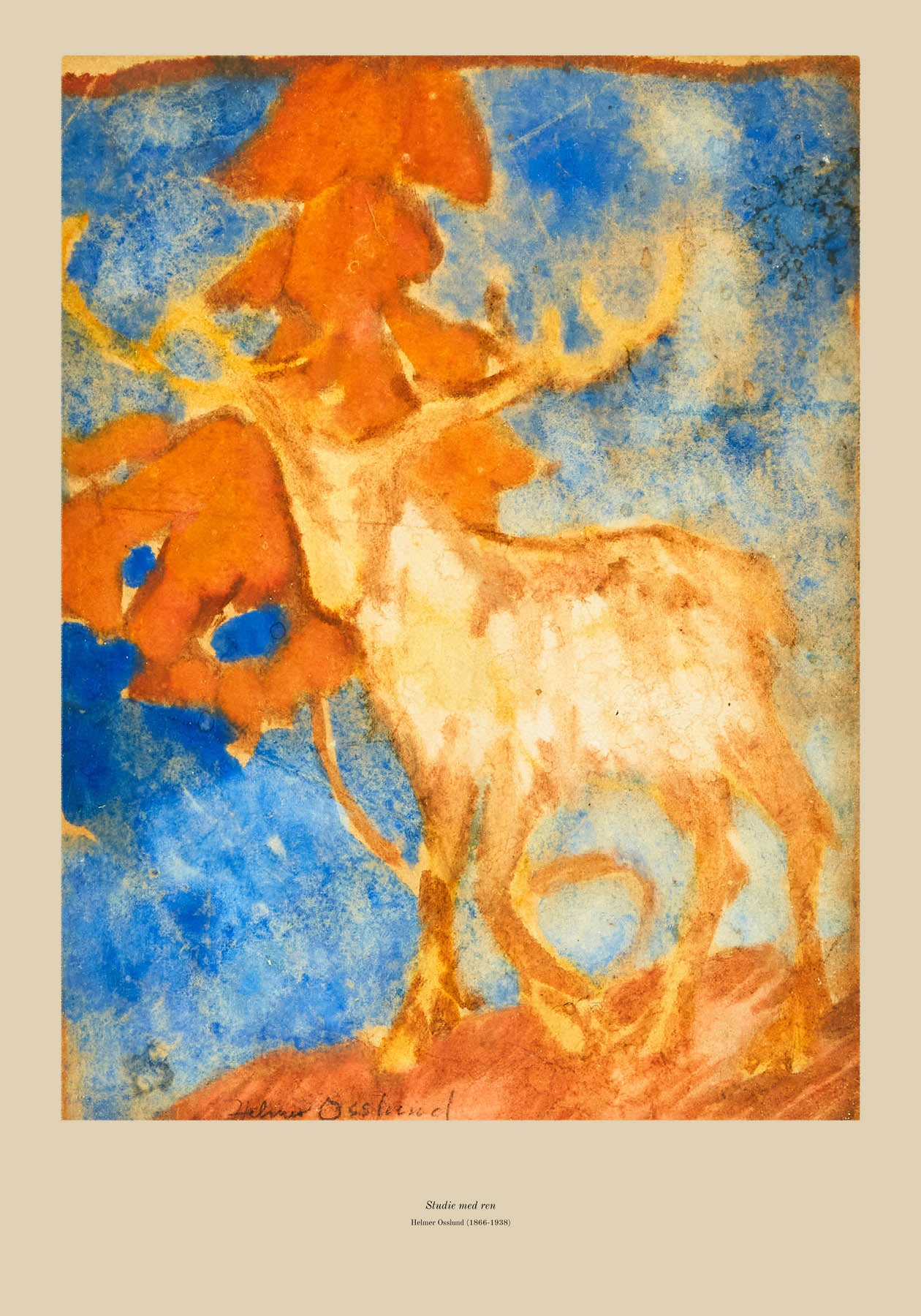 Studie med rein (1866-1938)