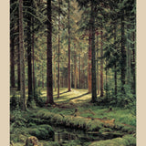 Nåleskov, solrig dag (1895)