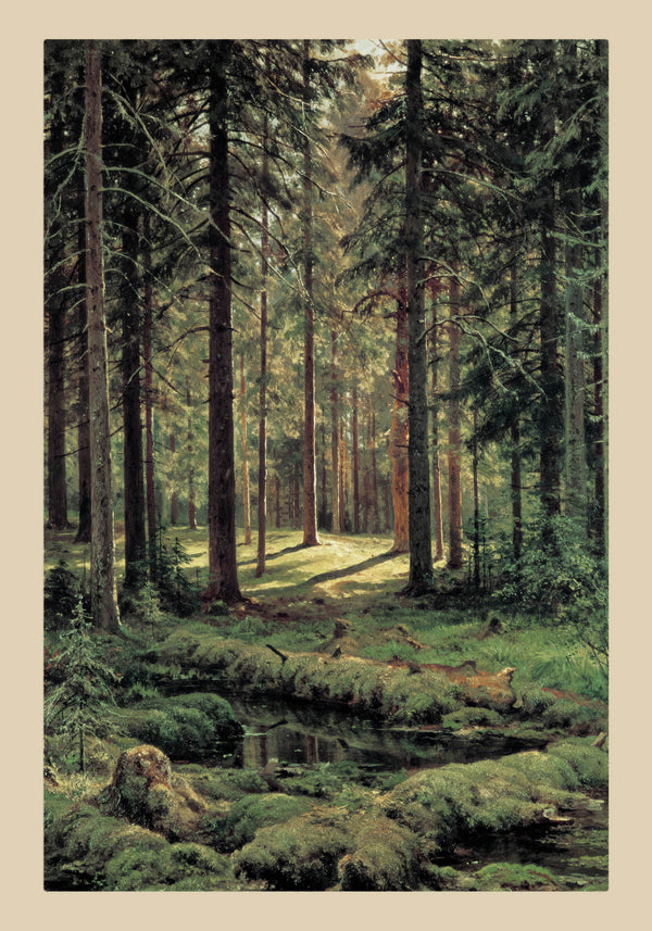 Coniferous Forest, Sunny Day (1895)