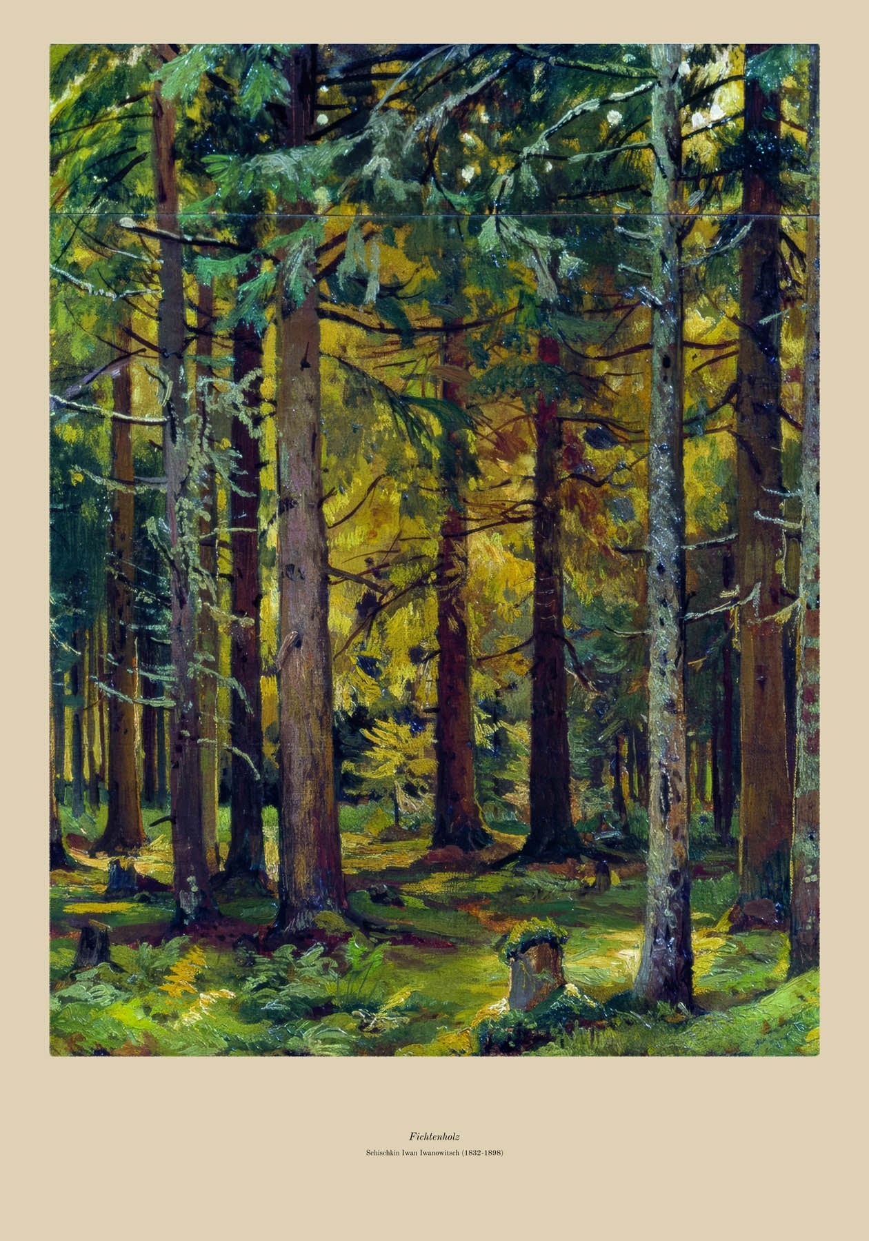 Spruce wood (1832-1898)