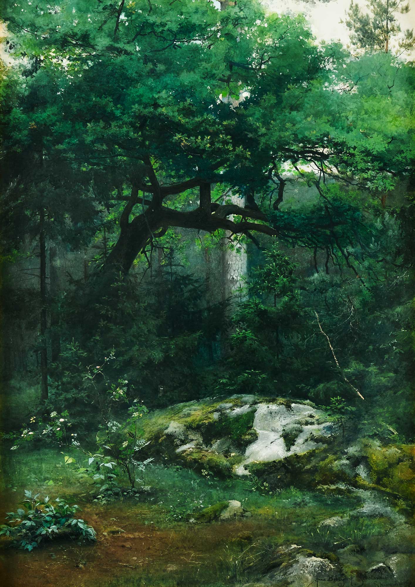 The Glade in Shadow (1864-1935)