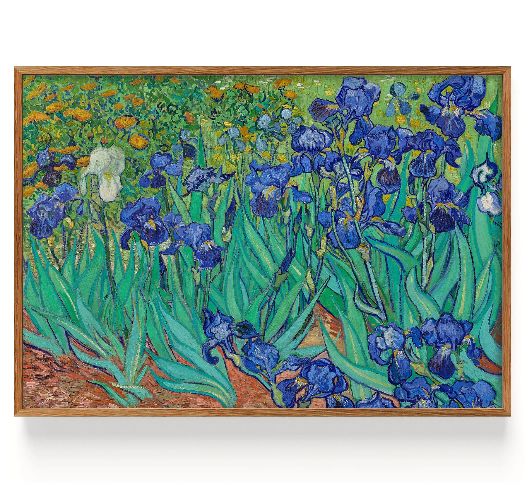 Irises (Front) (1889)