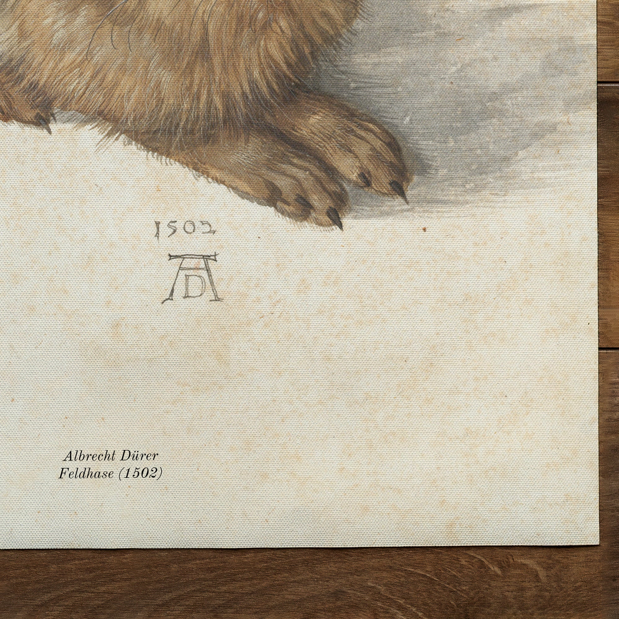 Lièvre (1502)