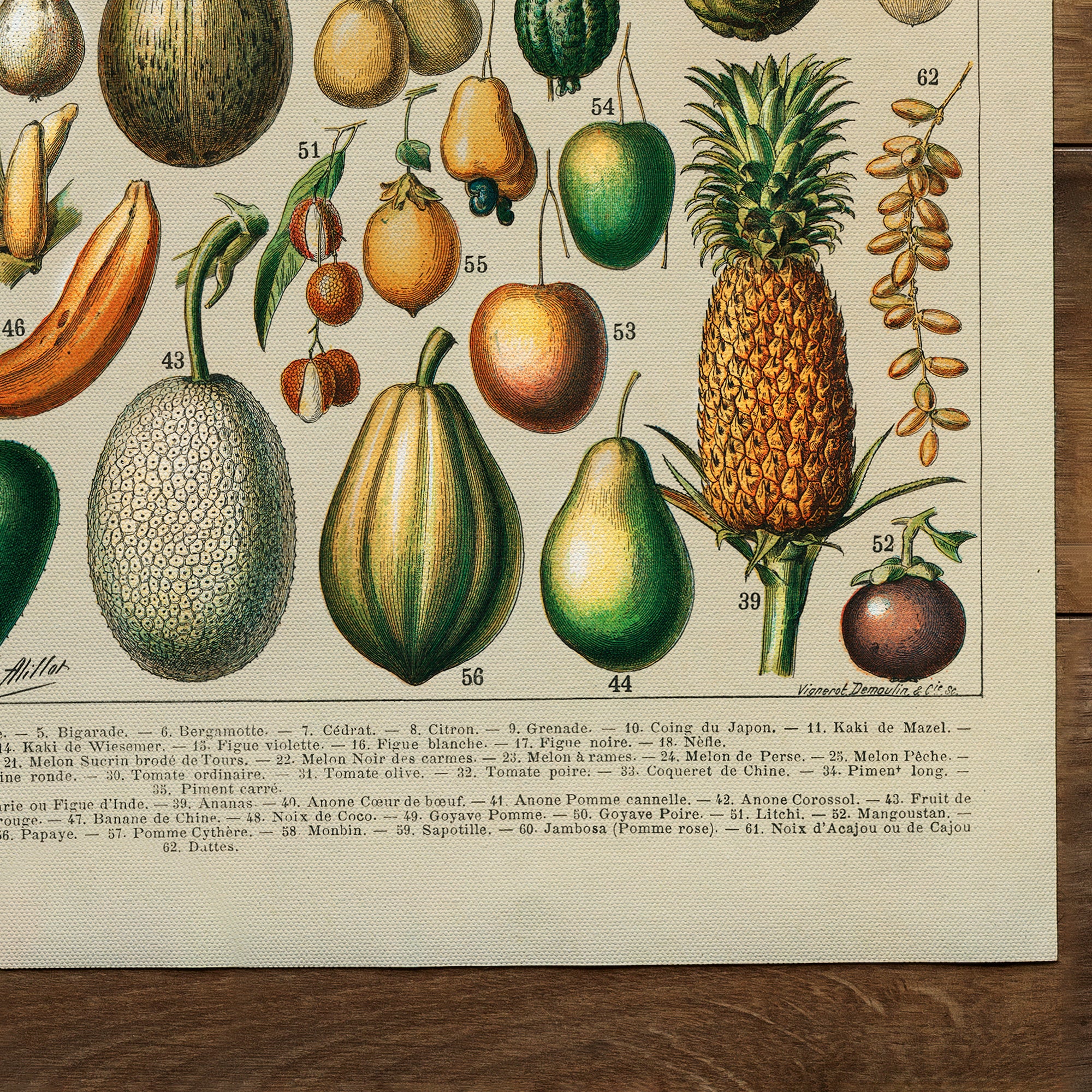 Nouveau Larousse illustré (1898)