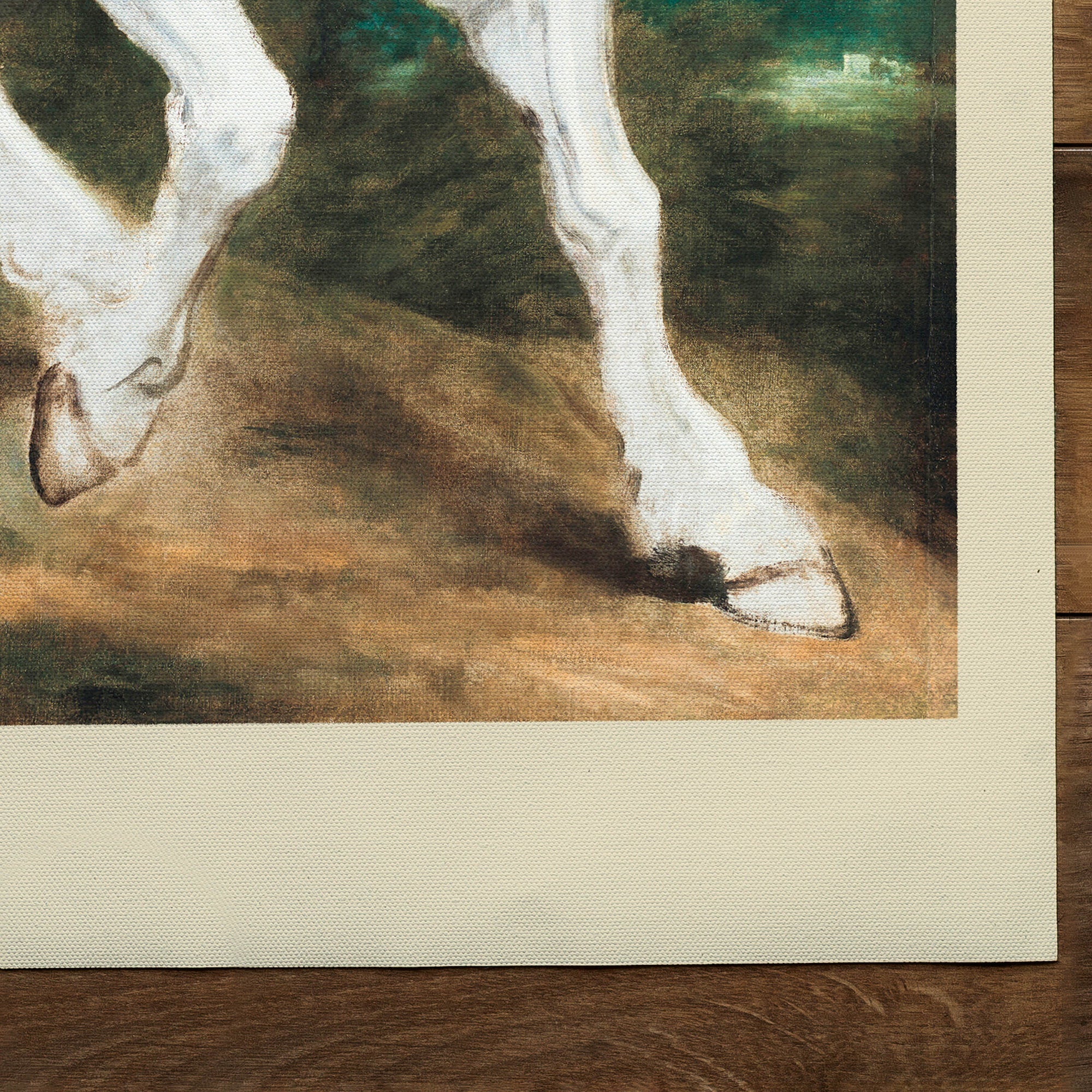 Un cavallo andaluso (1599 1641)