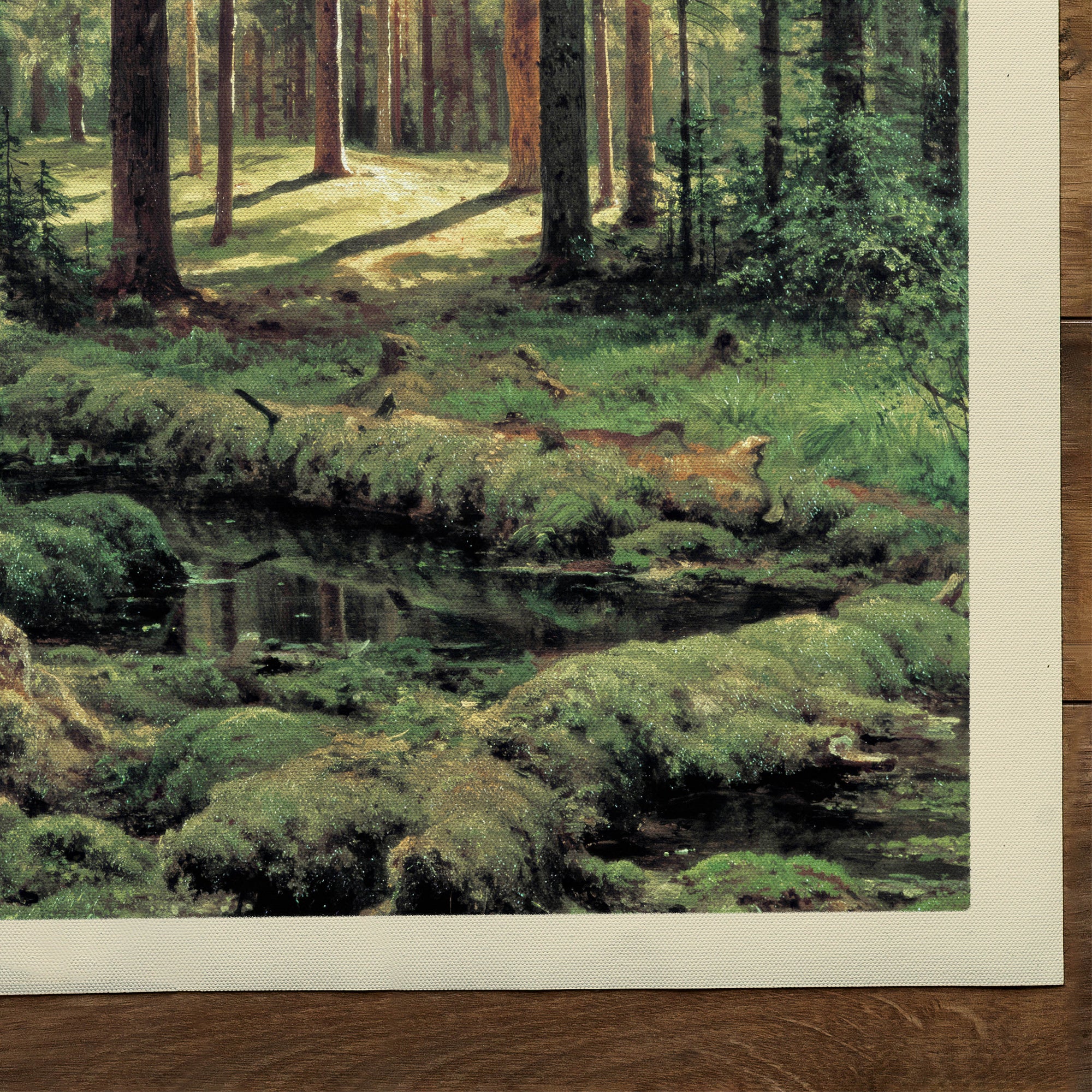 Coniferous Forest, Sunny Day (1895)