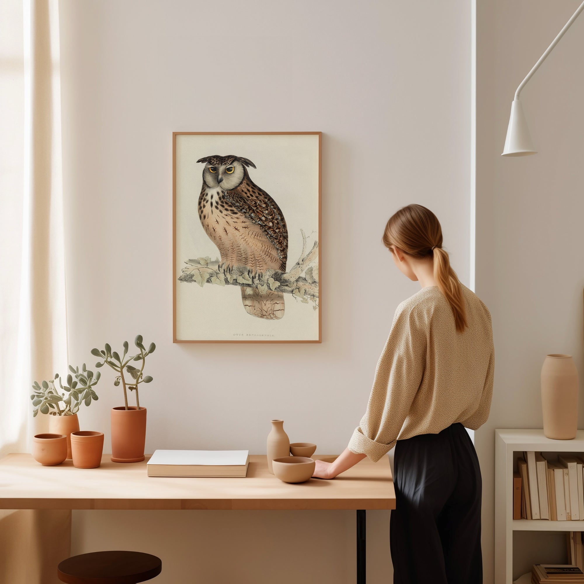 Otus Bengalensis (Bengal eagle owl) (1832)