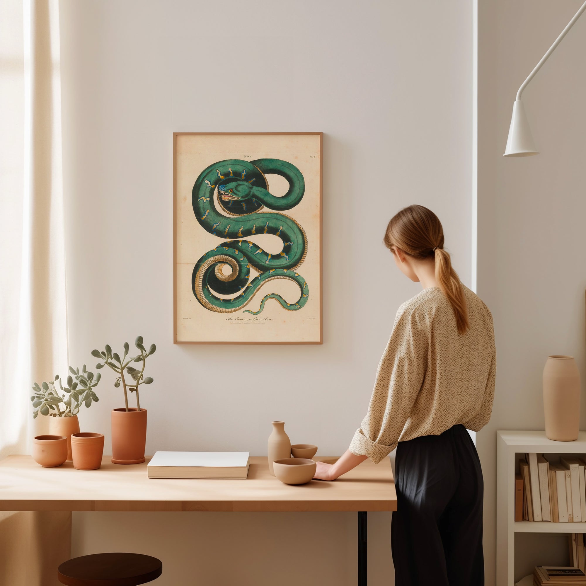 Serpent Boa Constrictor (1810)
