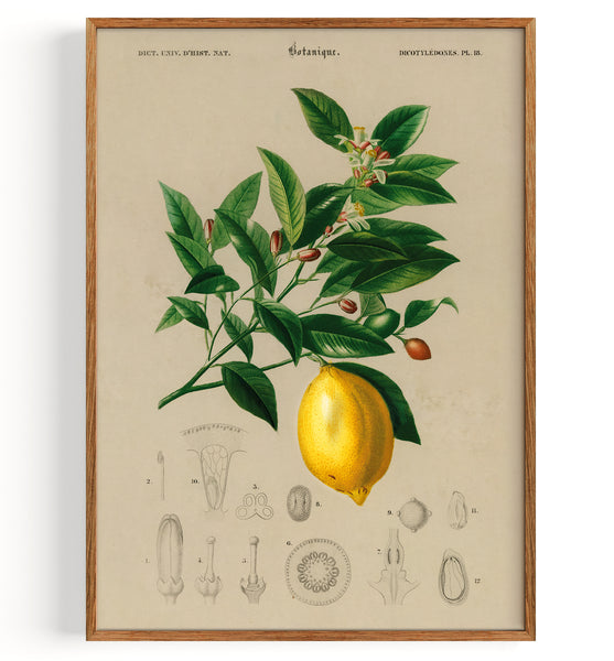 Produktbilder-Rahmen-Mockup-