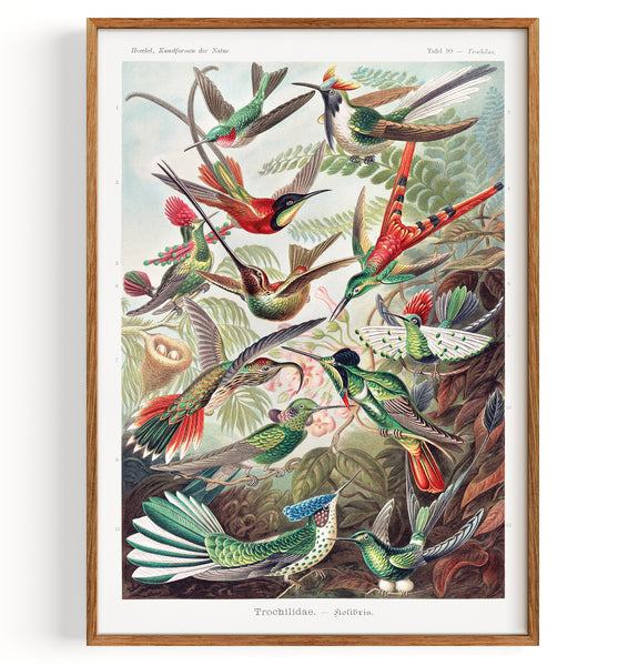 Produktbilder-Rahmen-Mockup-