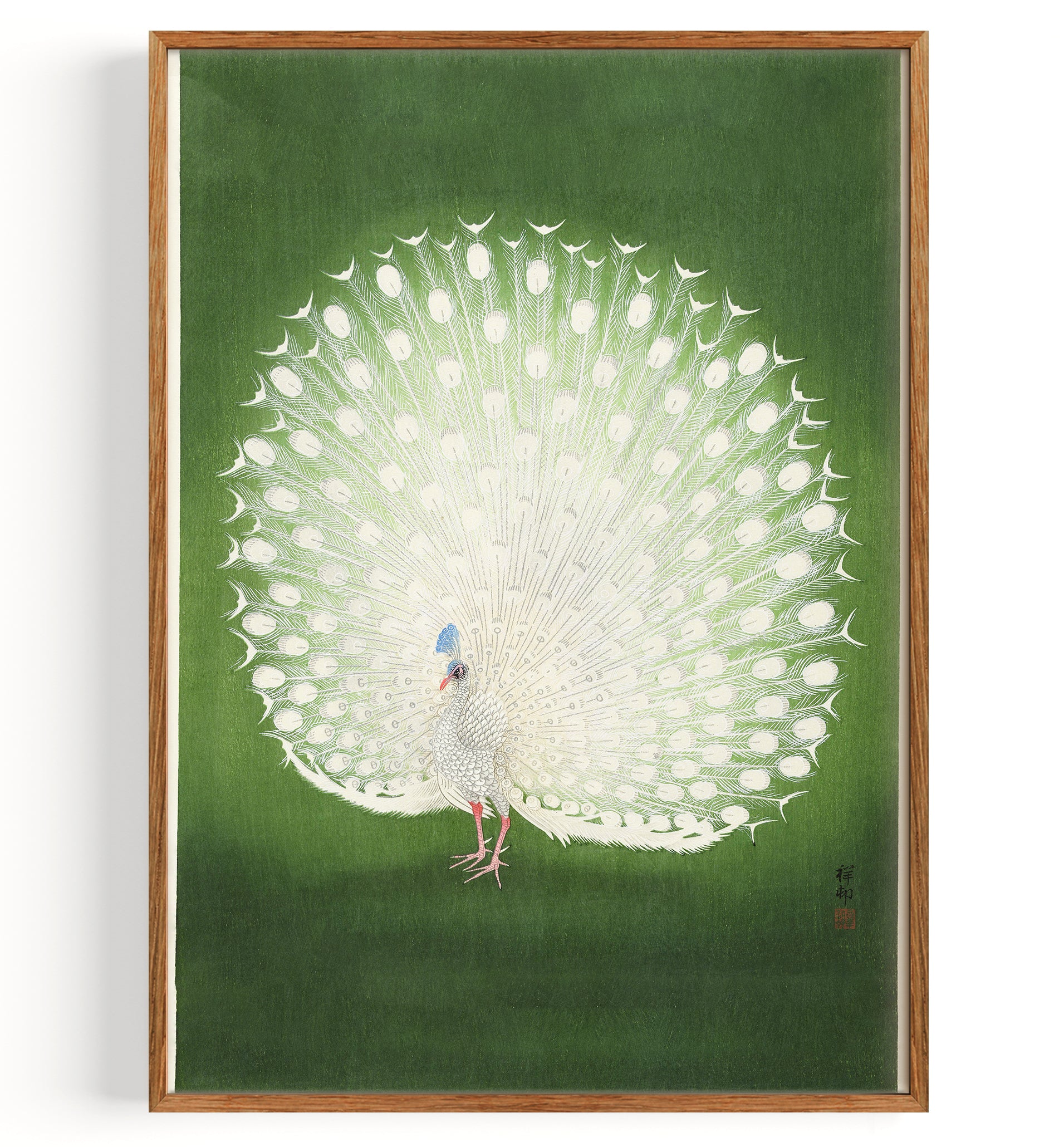 Paon Blanc (1934 à 1941)