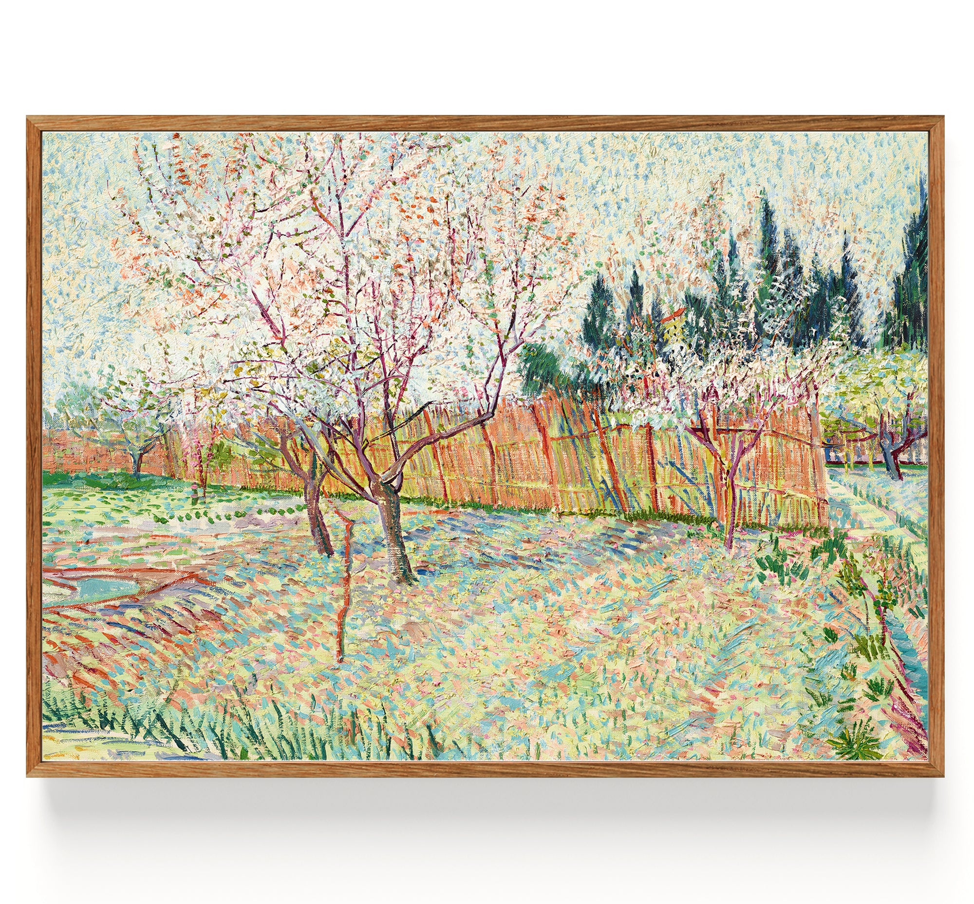 Verger avec cyprès (1888)