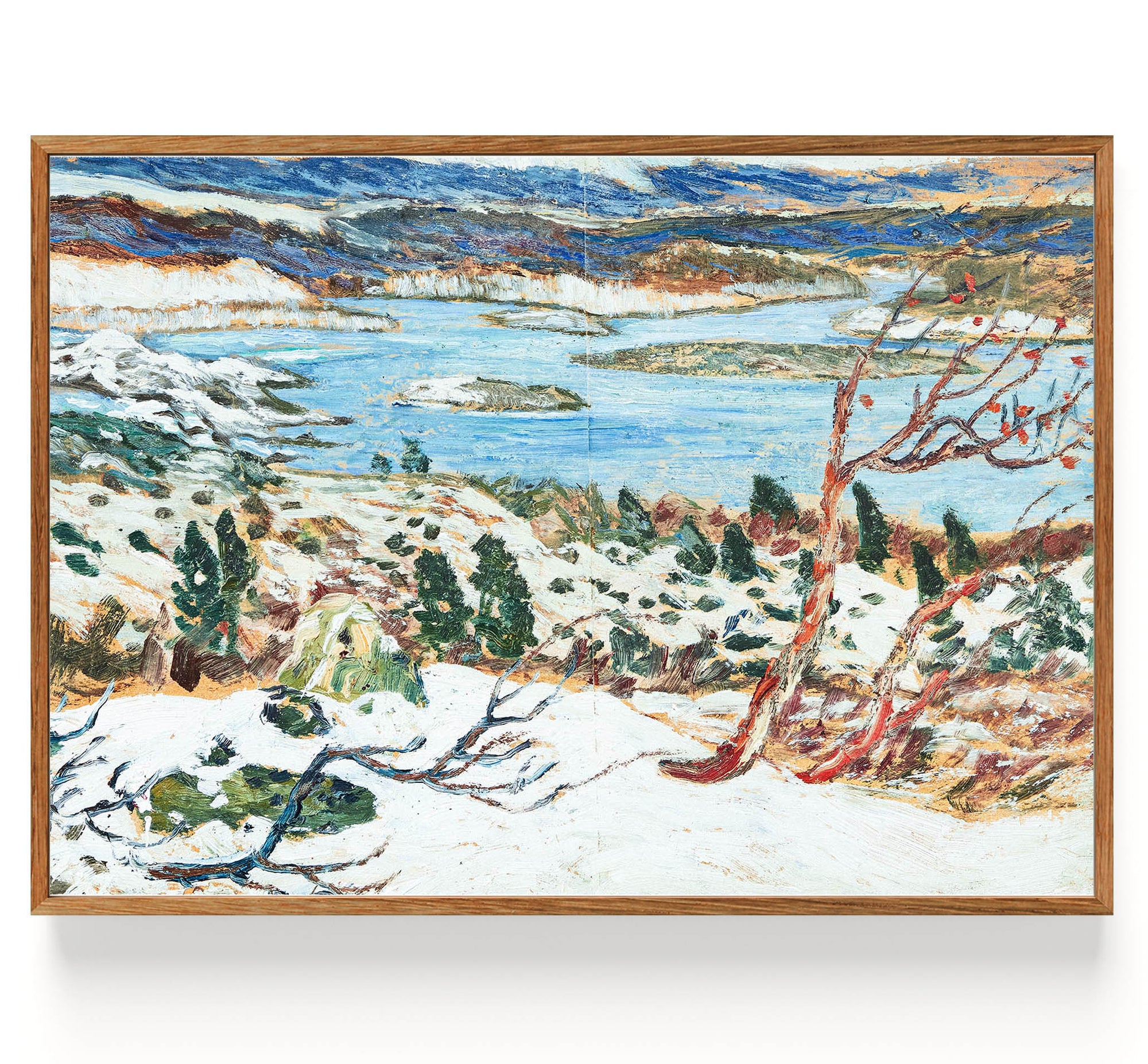 Fjällandschap in de winter (1866-1938)