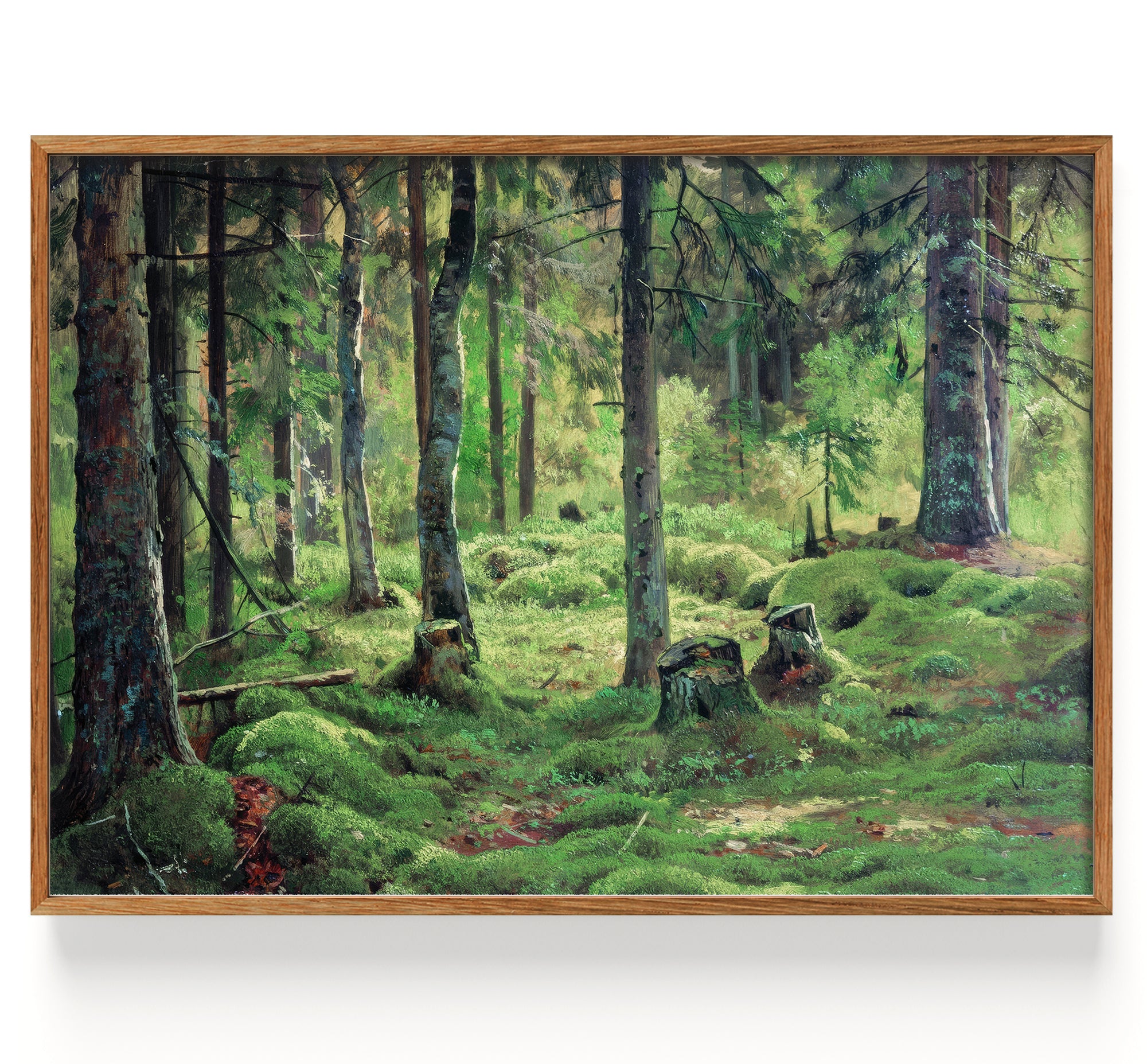 Deadwood (1893)