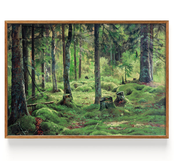Deadwood (1893)