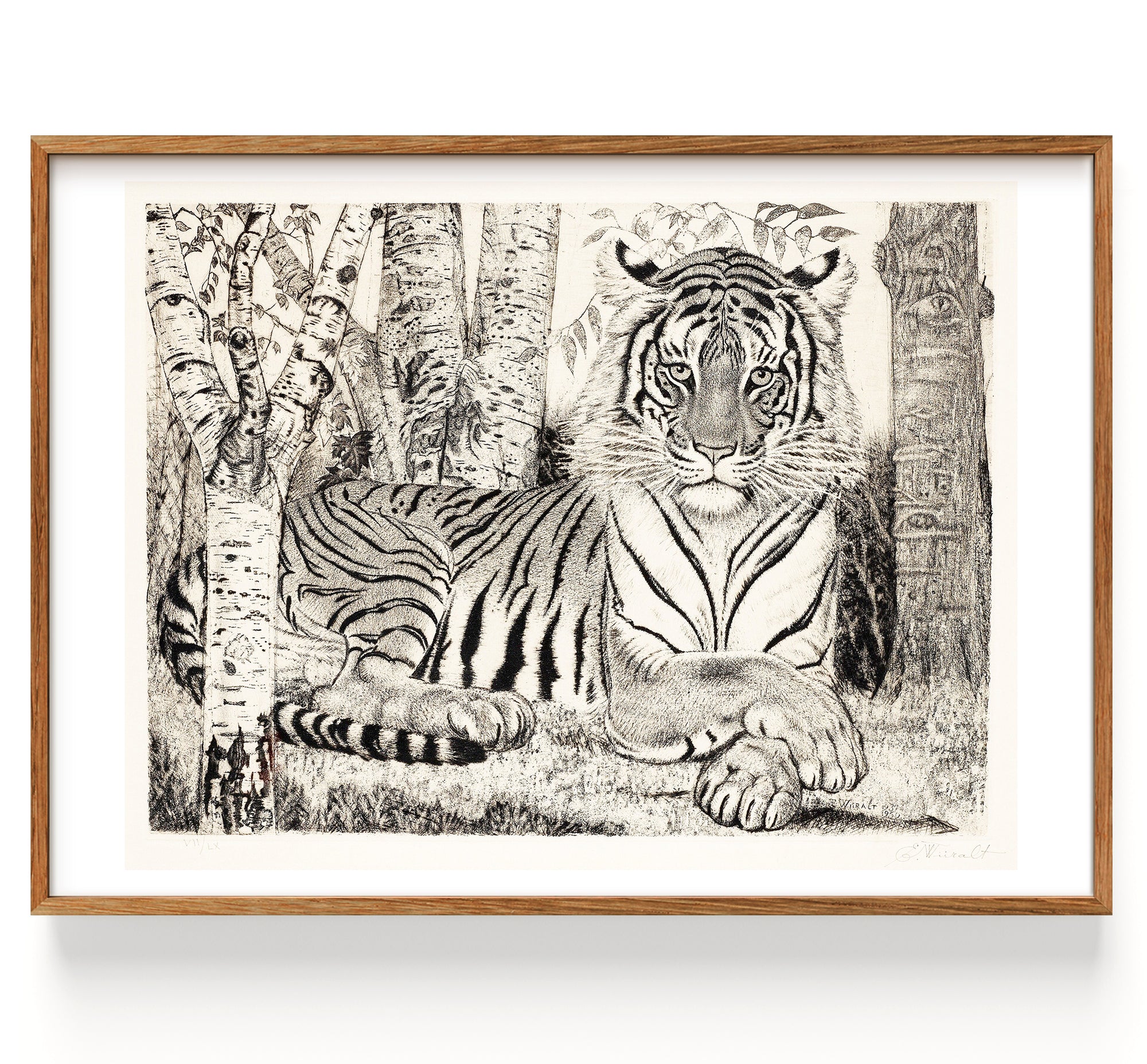 Tiger box-shaped (1937)
