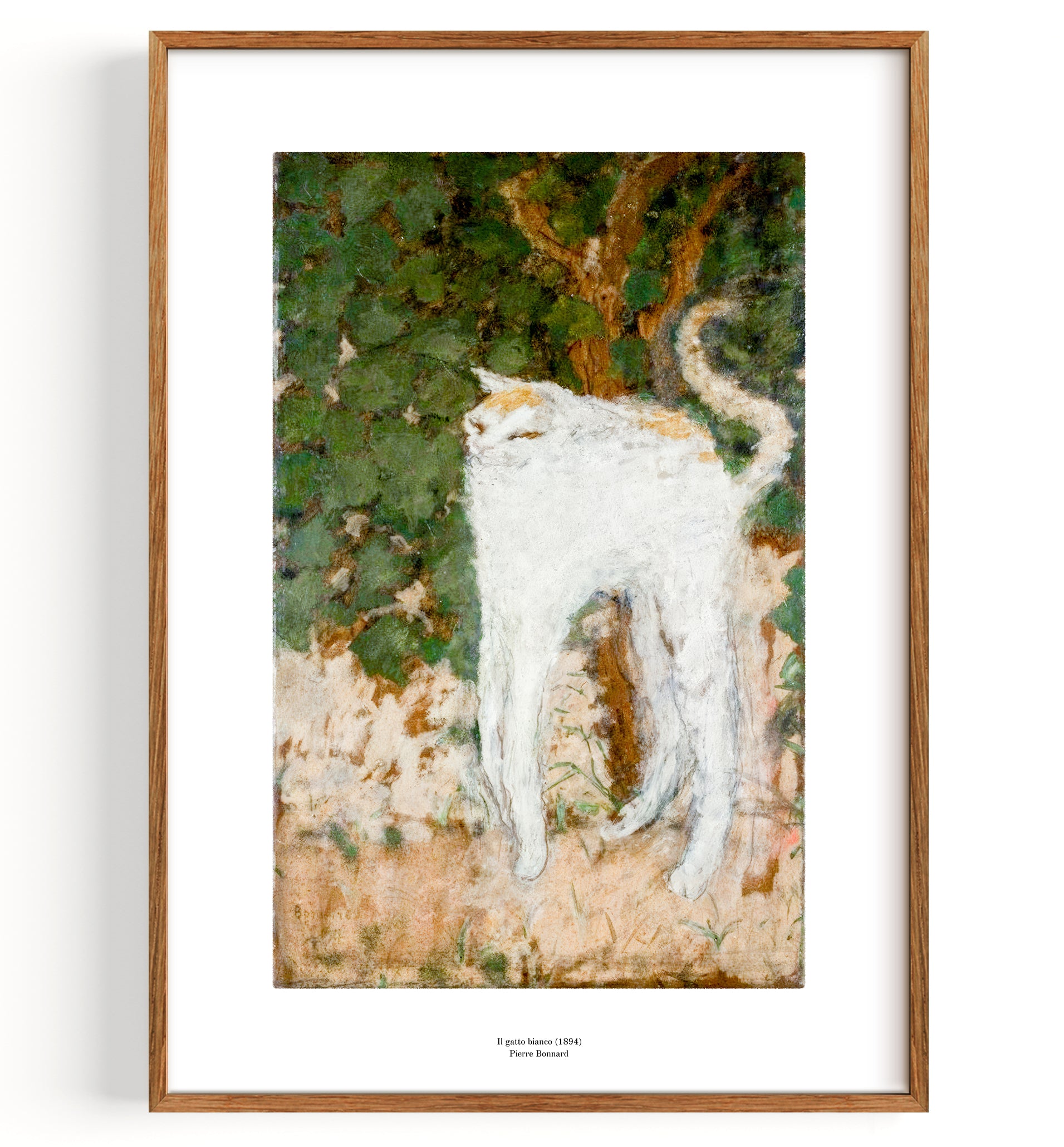 Le chat blanc (1894)