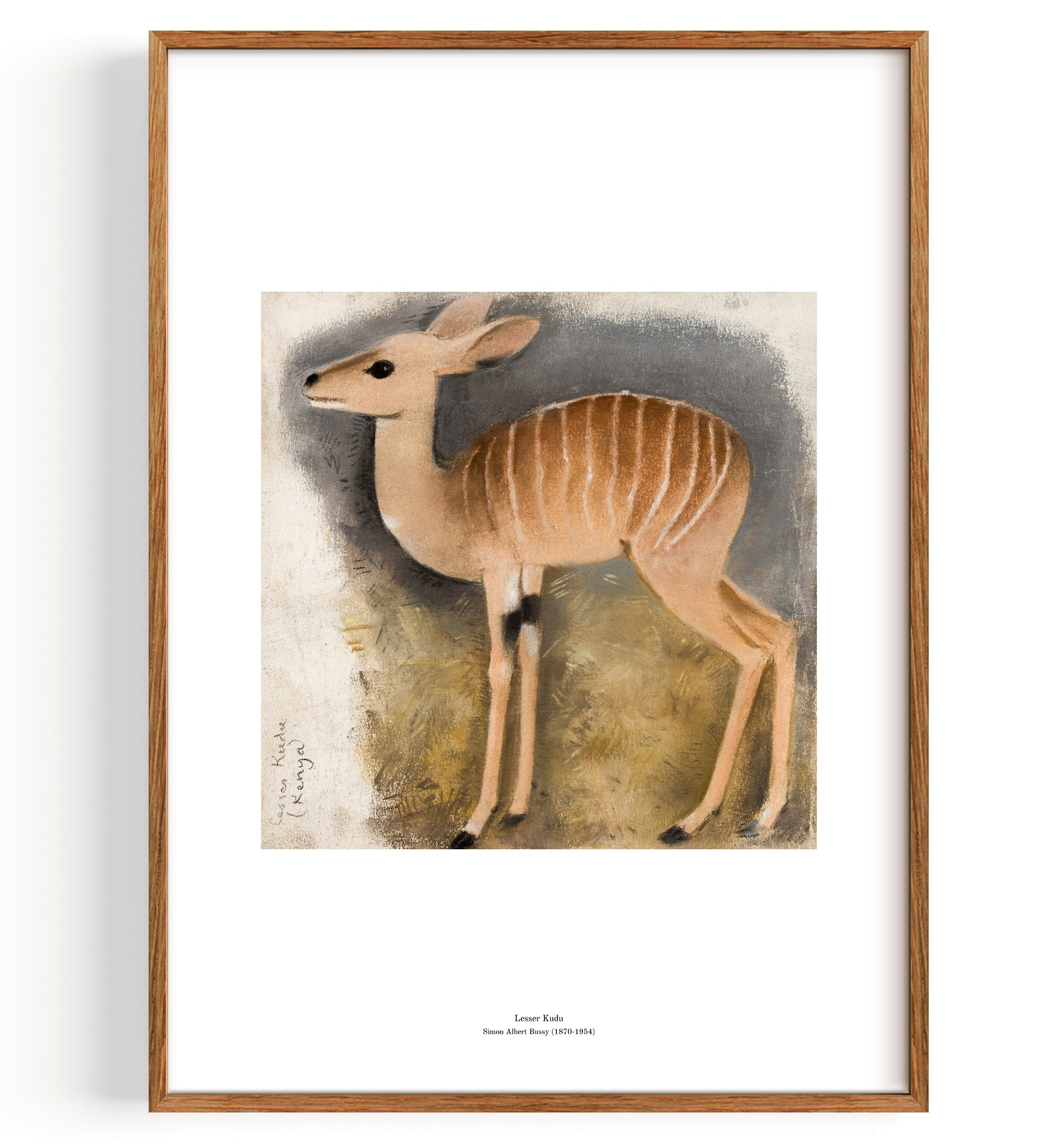 Lesser Kudu (1870 1954) by Simon Albert Bussy Fine Art Print, Art Print ...