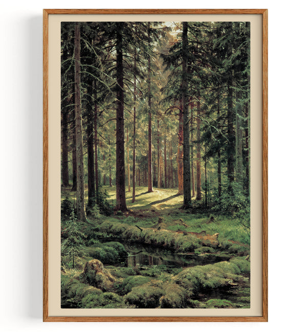 Forêt de conifères, journée ensoleillée (1895)