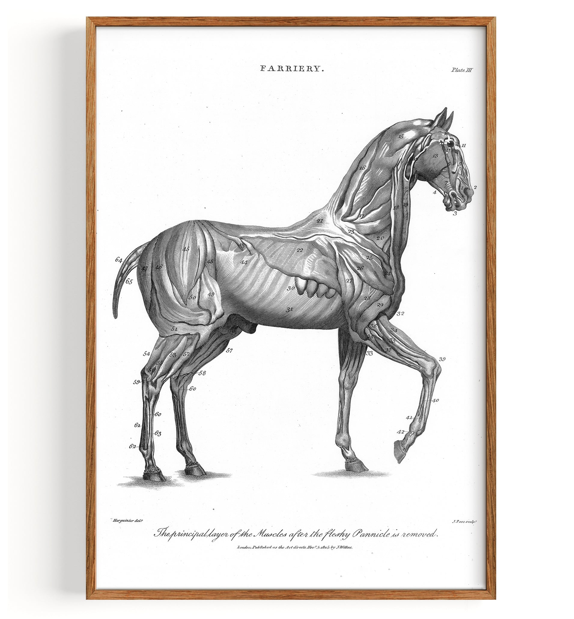 Maréchalerie de chevaux (1810)