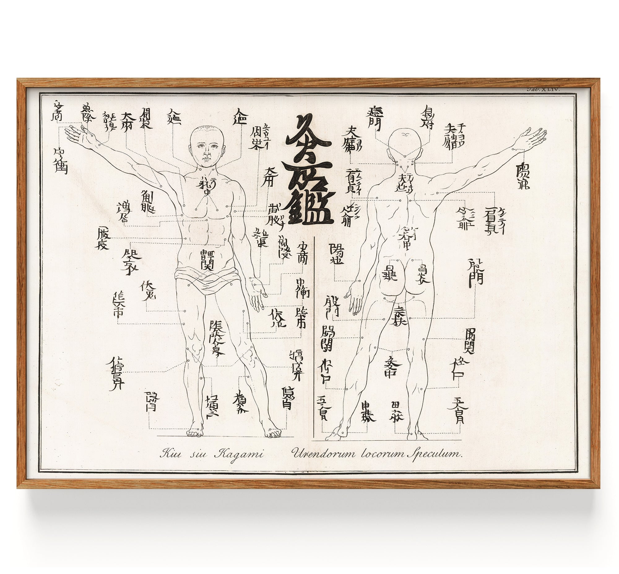 Acupuncture (1727)